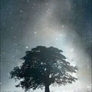 Meet your Posher, Momka